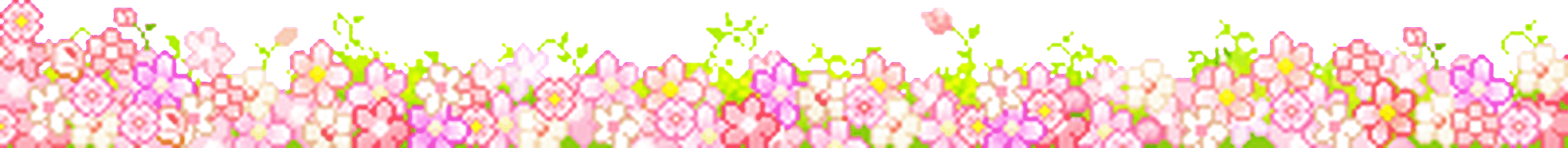 a line of flowers that are pink, orange, yellow and other warm colors a line of flowers that are pink, orange, yellow and other warm colors